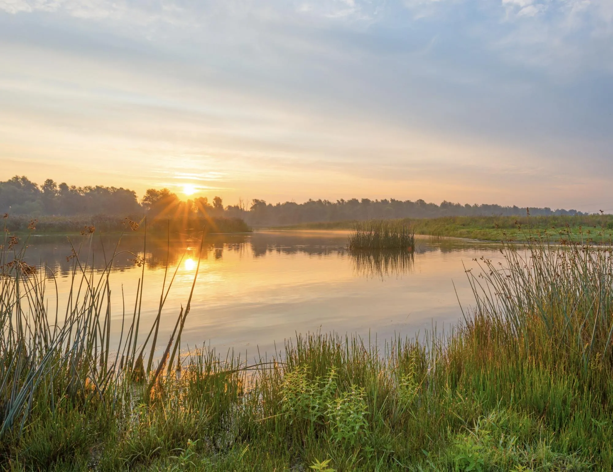 Sunset over a still Idaho pond ringed with reeds