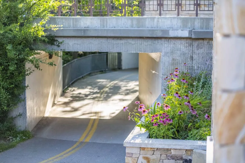Exploring the Boise Greenbelt: A Must-See Destination for Nature Lovers and Outdoor Enthusiasts