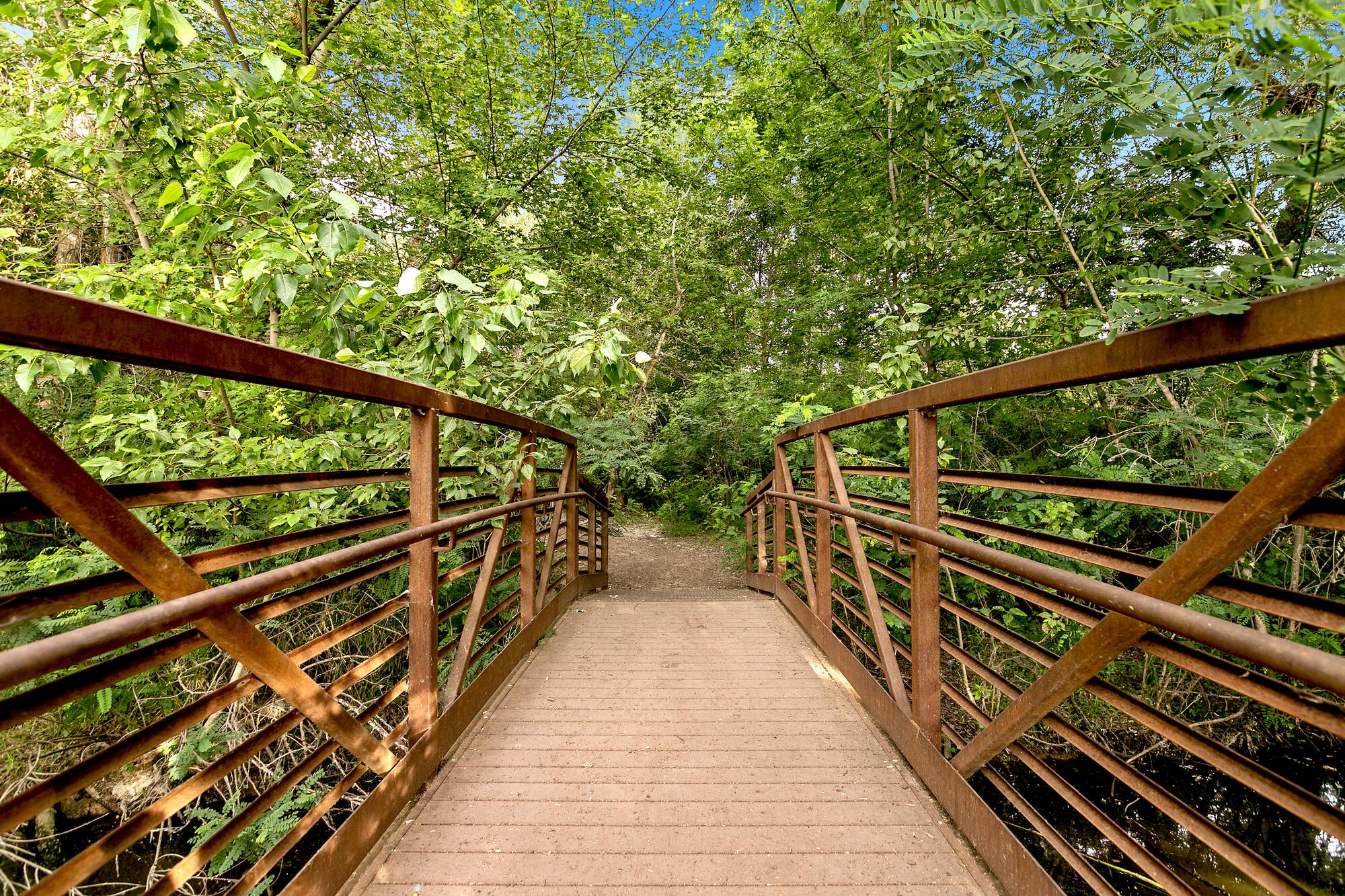Considering Star: Small-Town Living with Big Charm