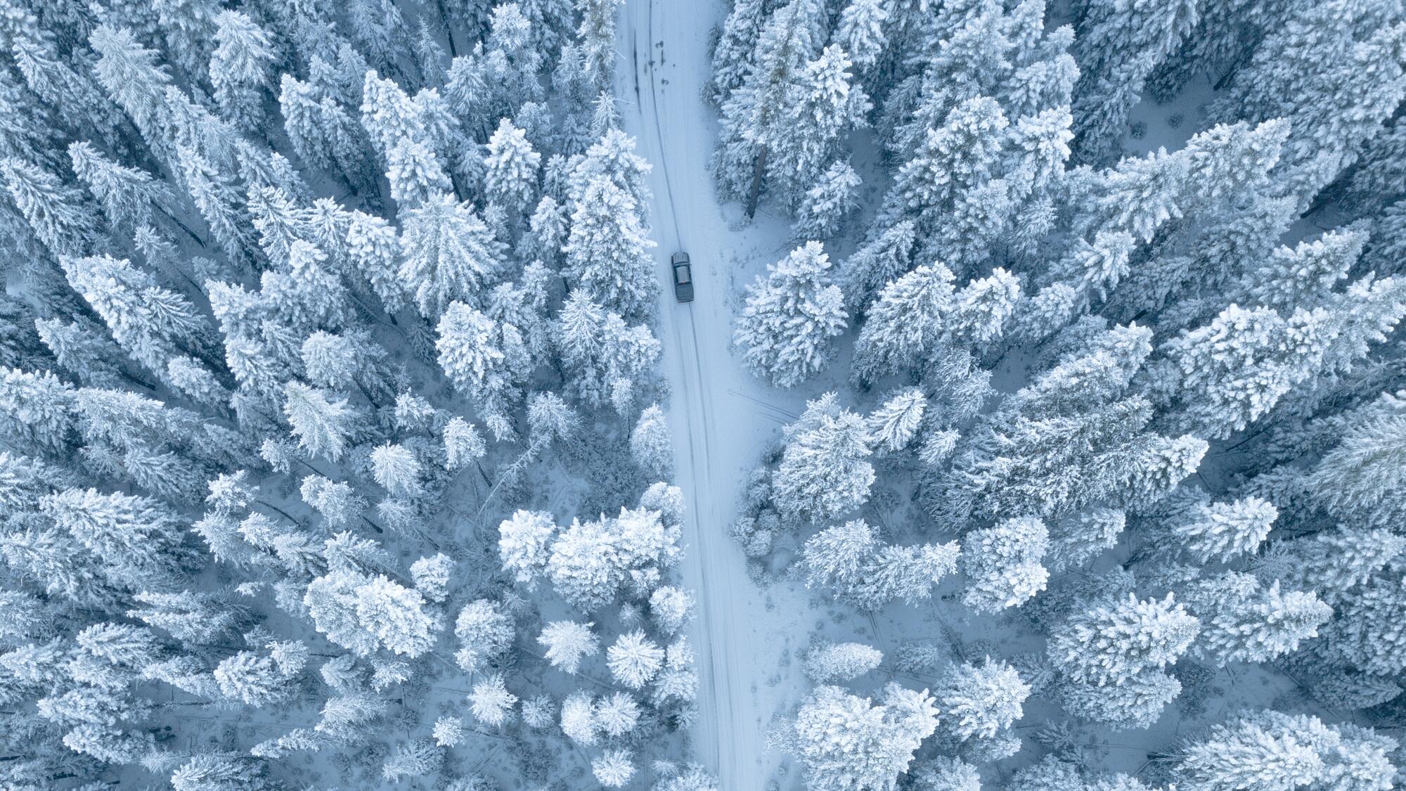 Embrace the Chill: Winter Wonderland Activities to Explore in Idaho