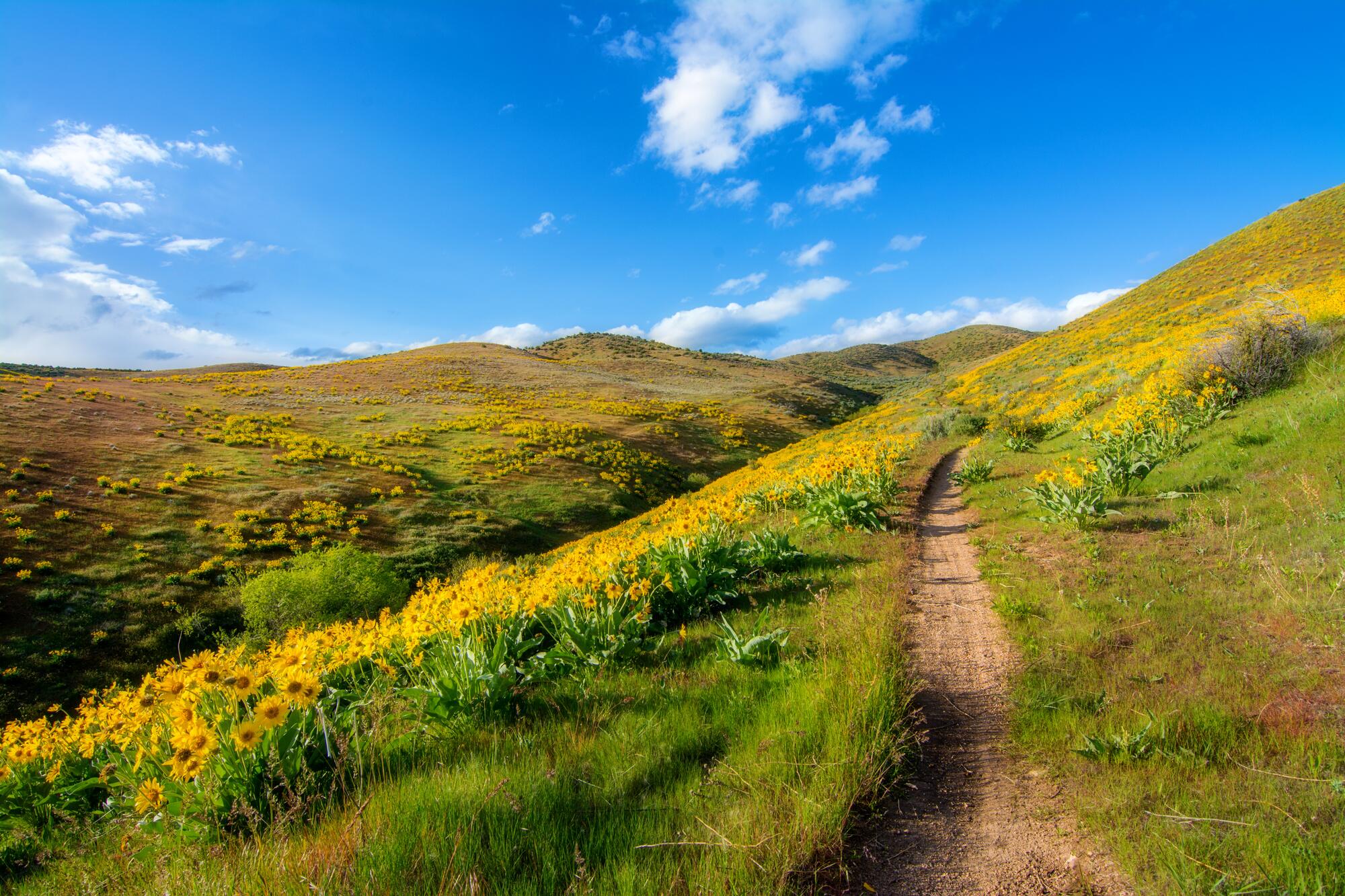 Outdoor Adventure: Exploring Hiking Trails Around Boise