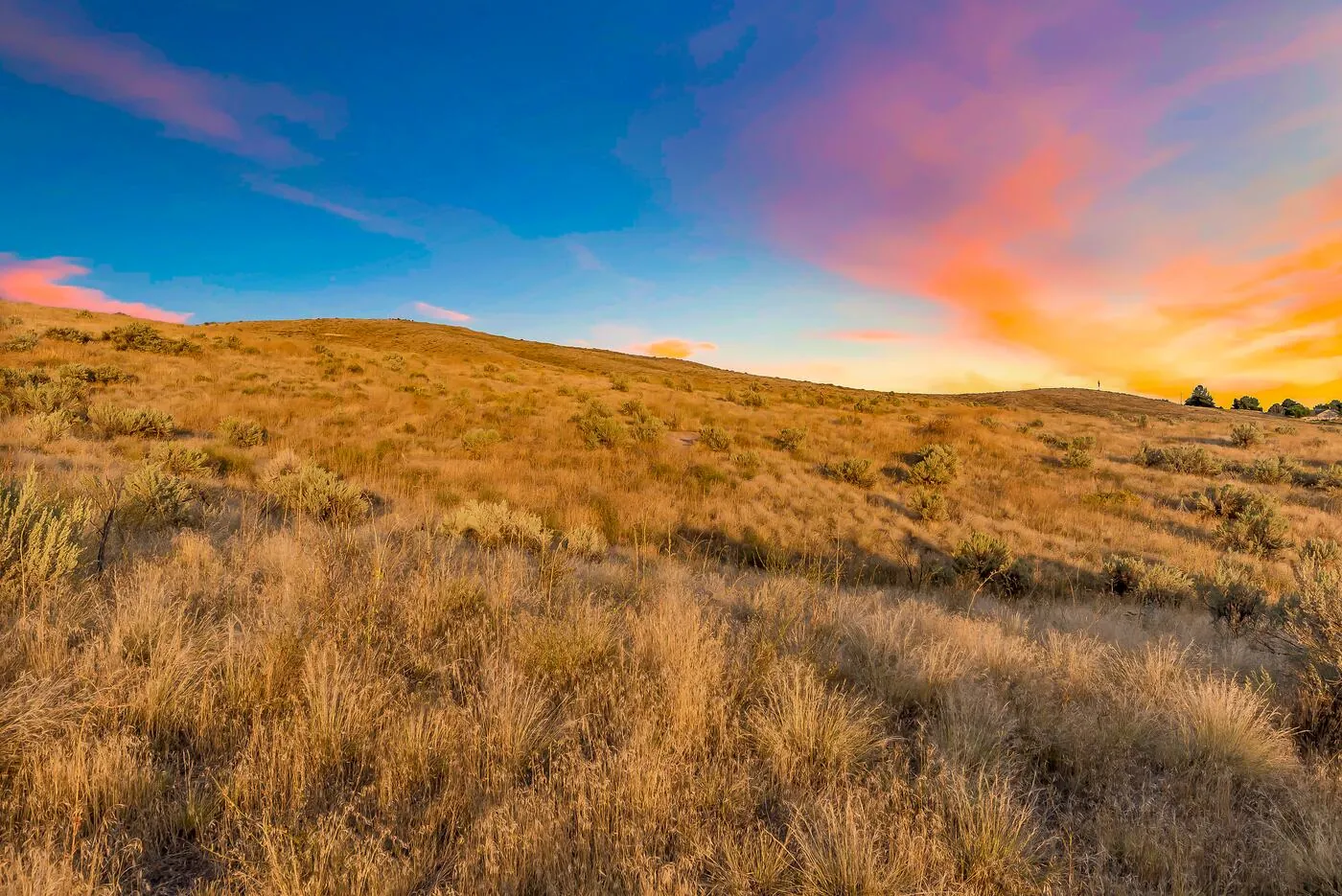 eagle bike park, foothills, sunset