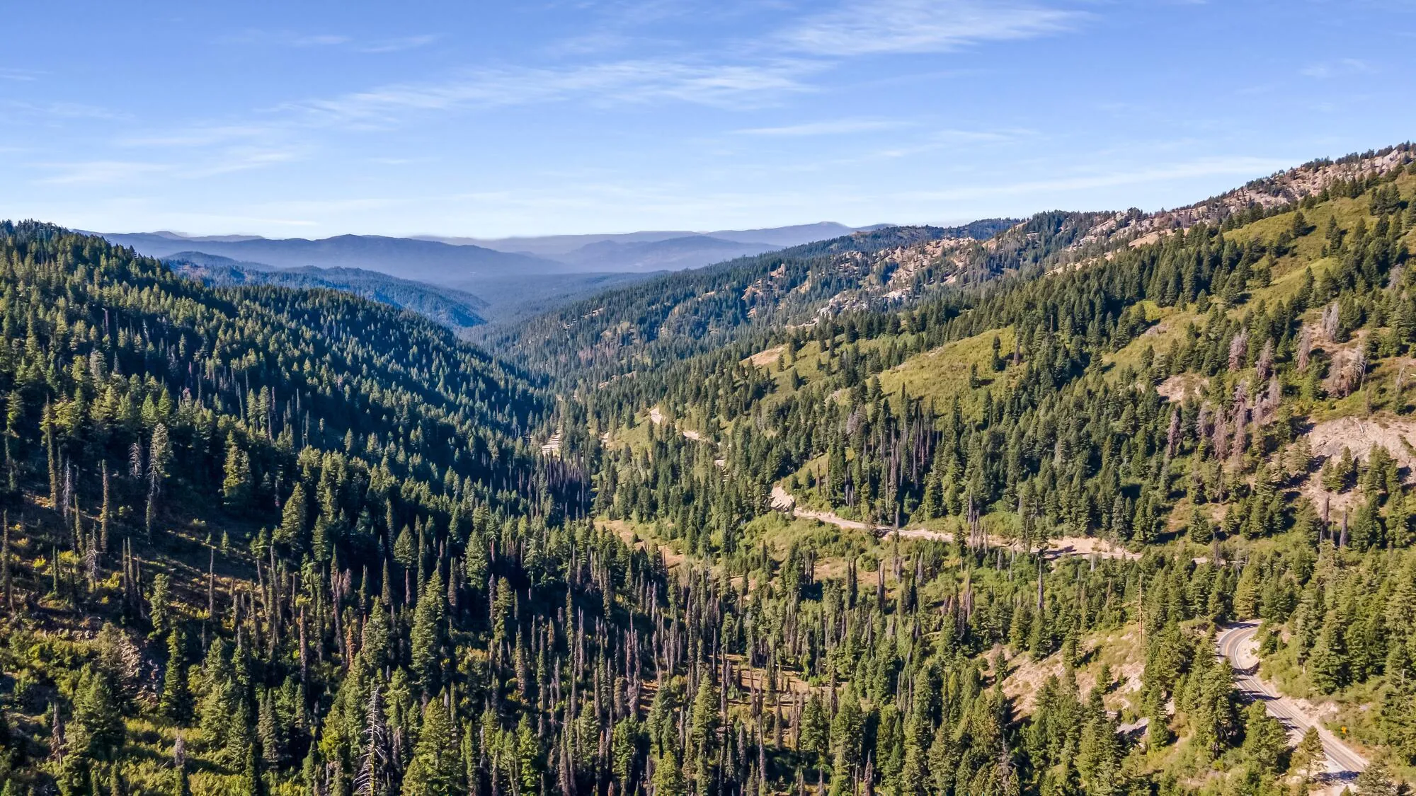 Turn Your Dreams into Reality Amidst the Magic of Idaho City Days