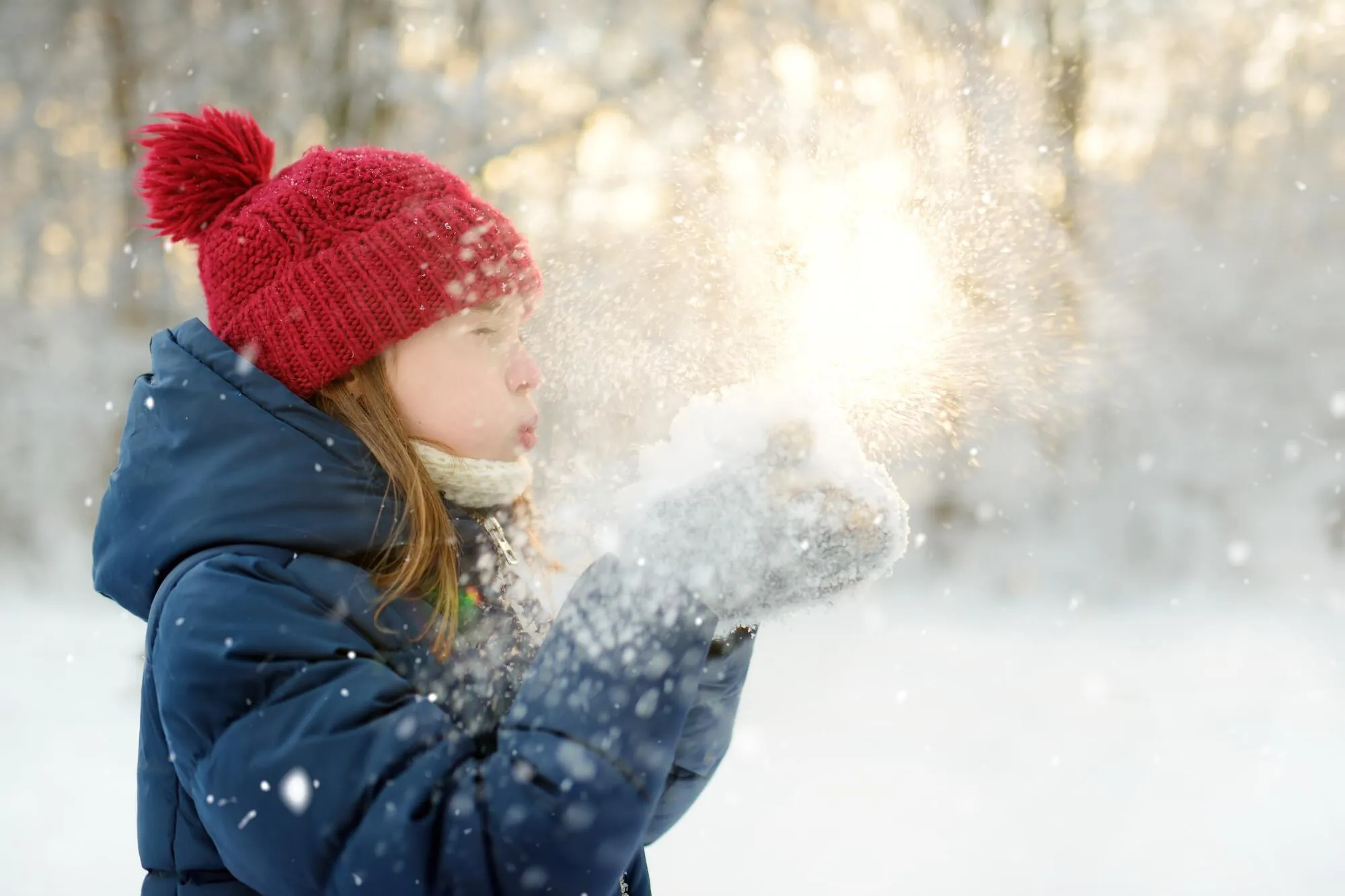 Moving to Idaho in the Winter?