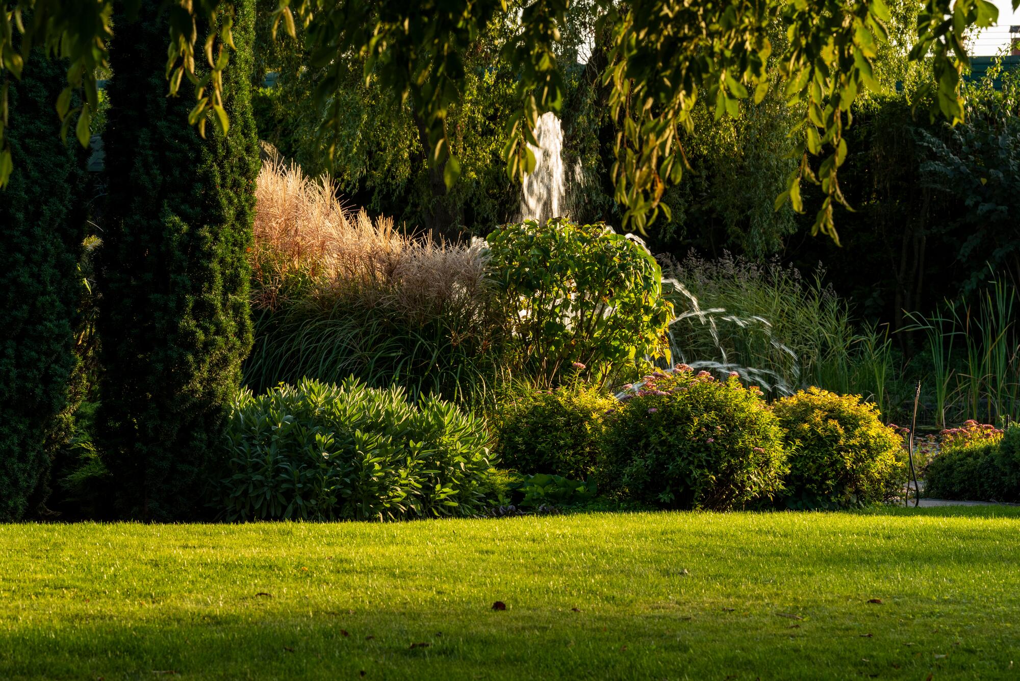 Enhancing Your Outdoor Space: Tips for Stunning Landscaping