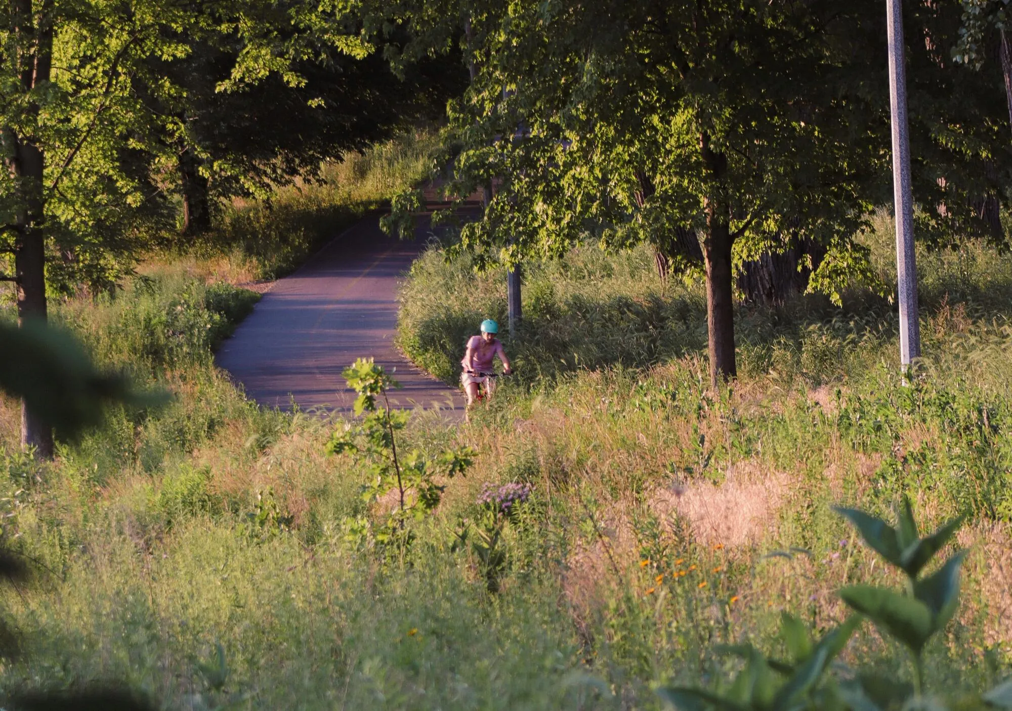 The Best of Late Summer in the Treasure Valley