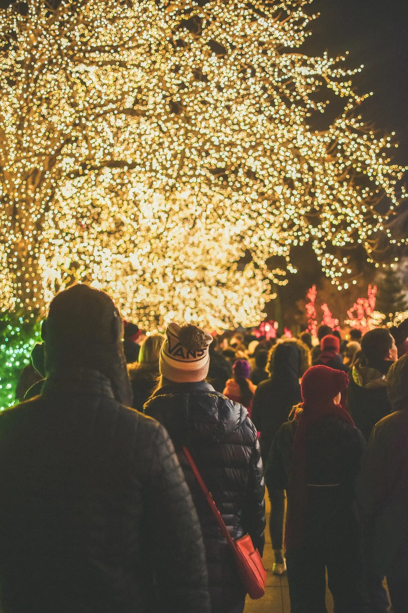 Your Guide to Holiday Events Around the Treasure Valley