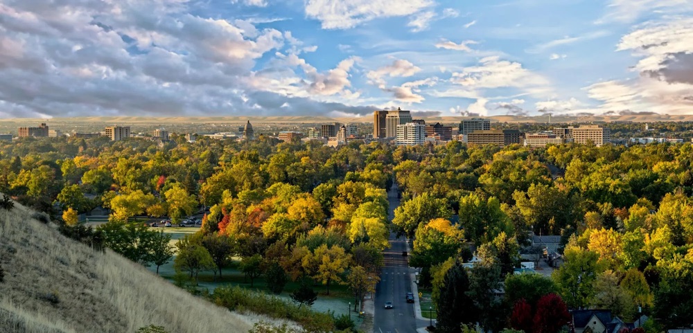 Fall colors along a Treasure Valley street