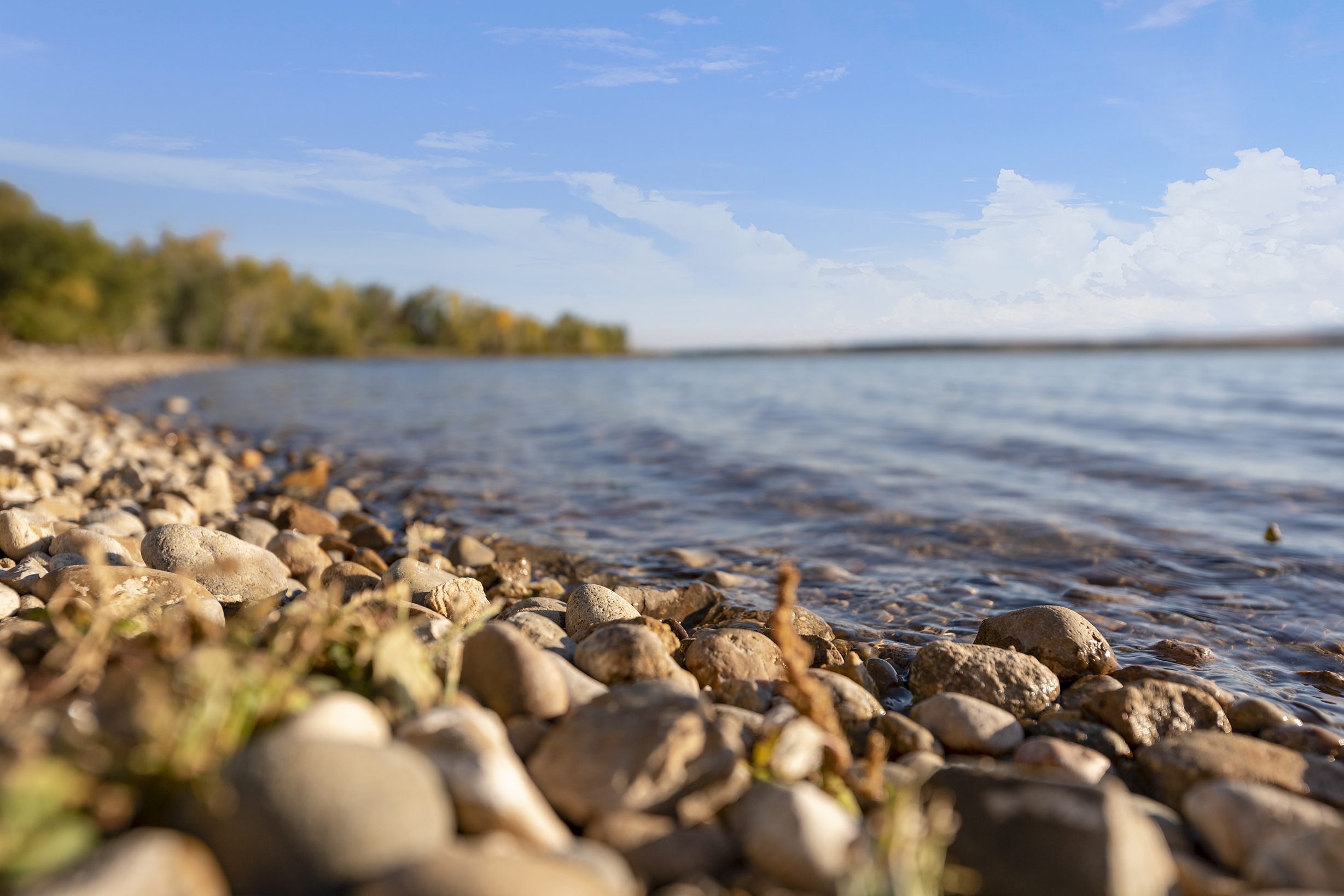 Rocky shore of Lake Lowell with water close up detail shot with blurred trees and shoreline in background
