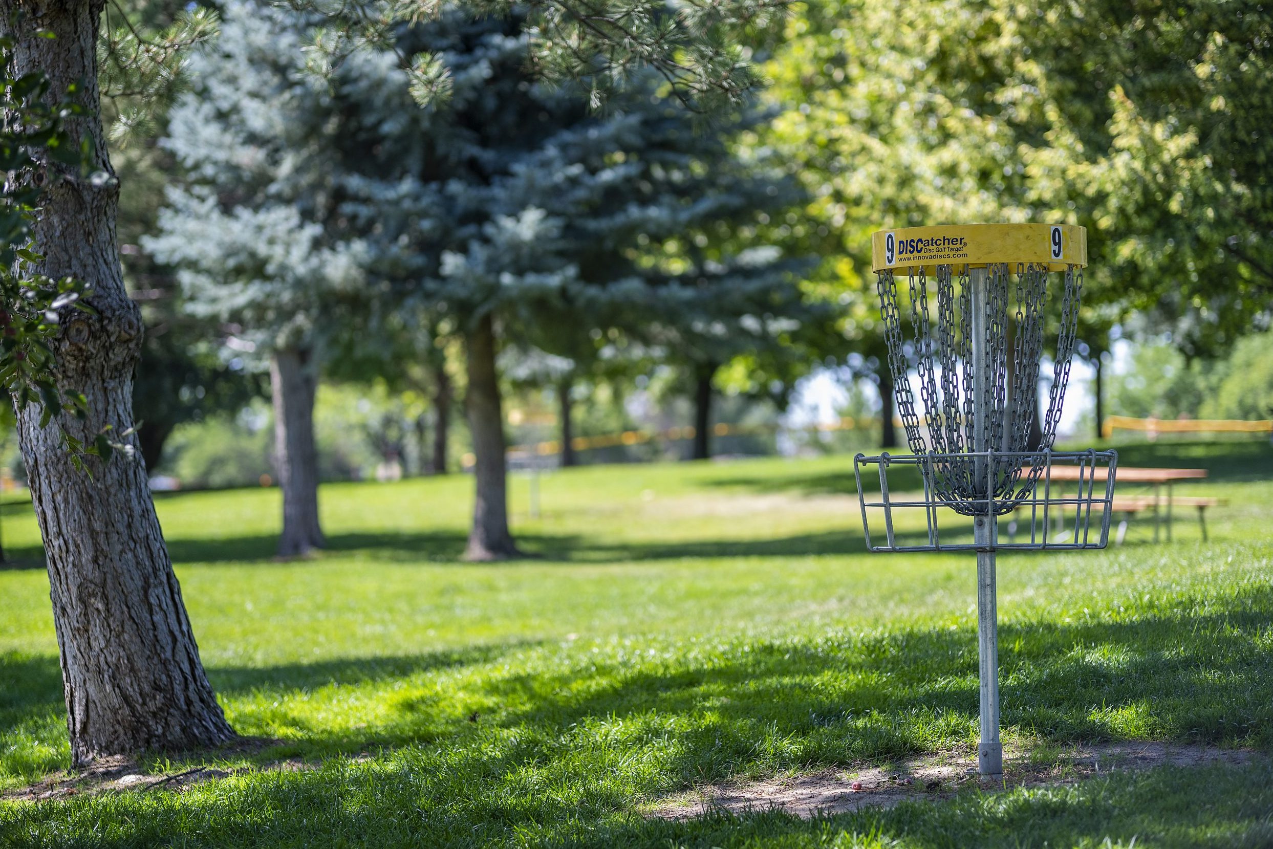 Frisbee golf basket number 9 located in Kuna's Indian Creek Park