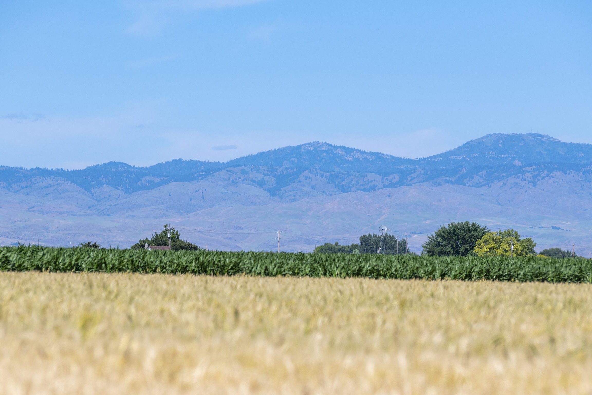 View of Boise foothills and mountains over farming field in Kuna, Idaho