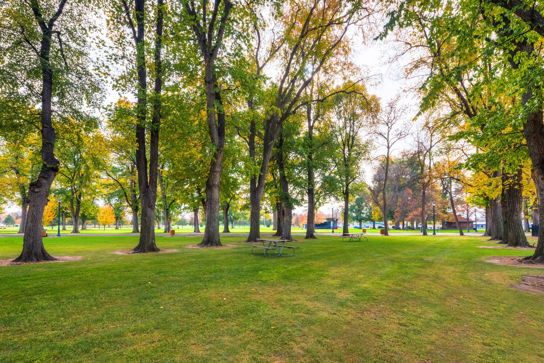 Open park near the Van Slyke Museum in Caldwell with mature trees, leaves just starting to turn yellow for the fall