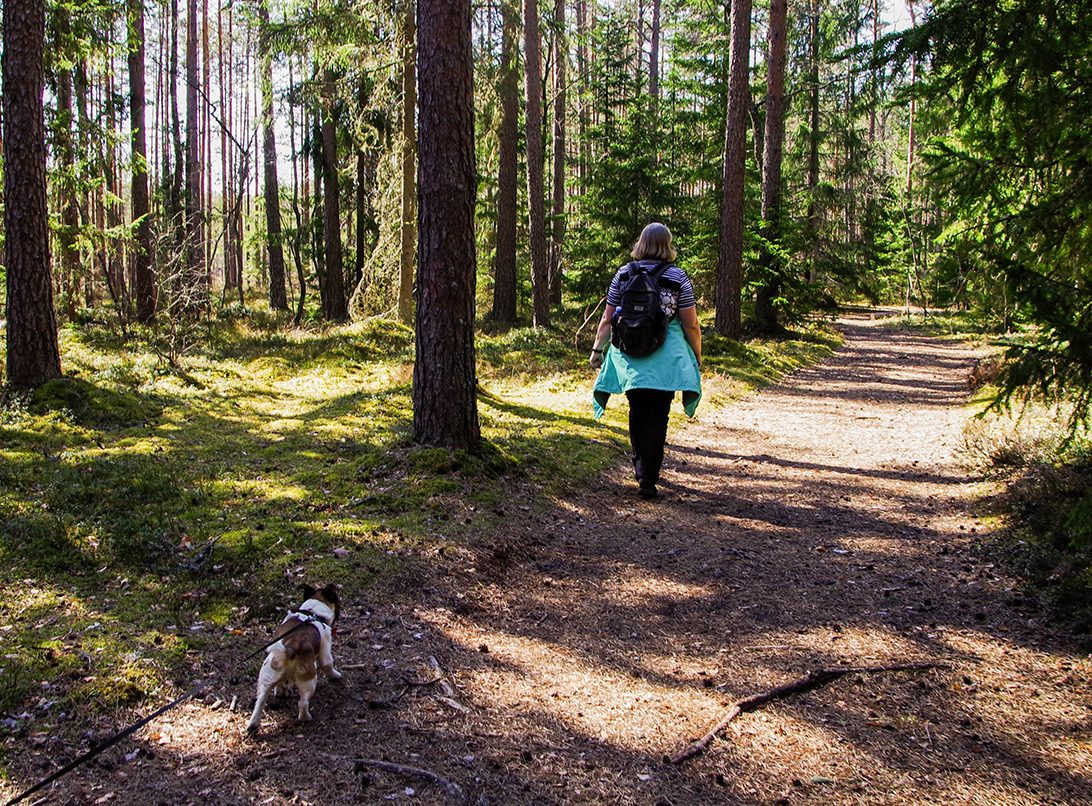 Hiking in Mccall Idaho
