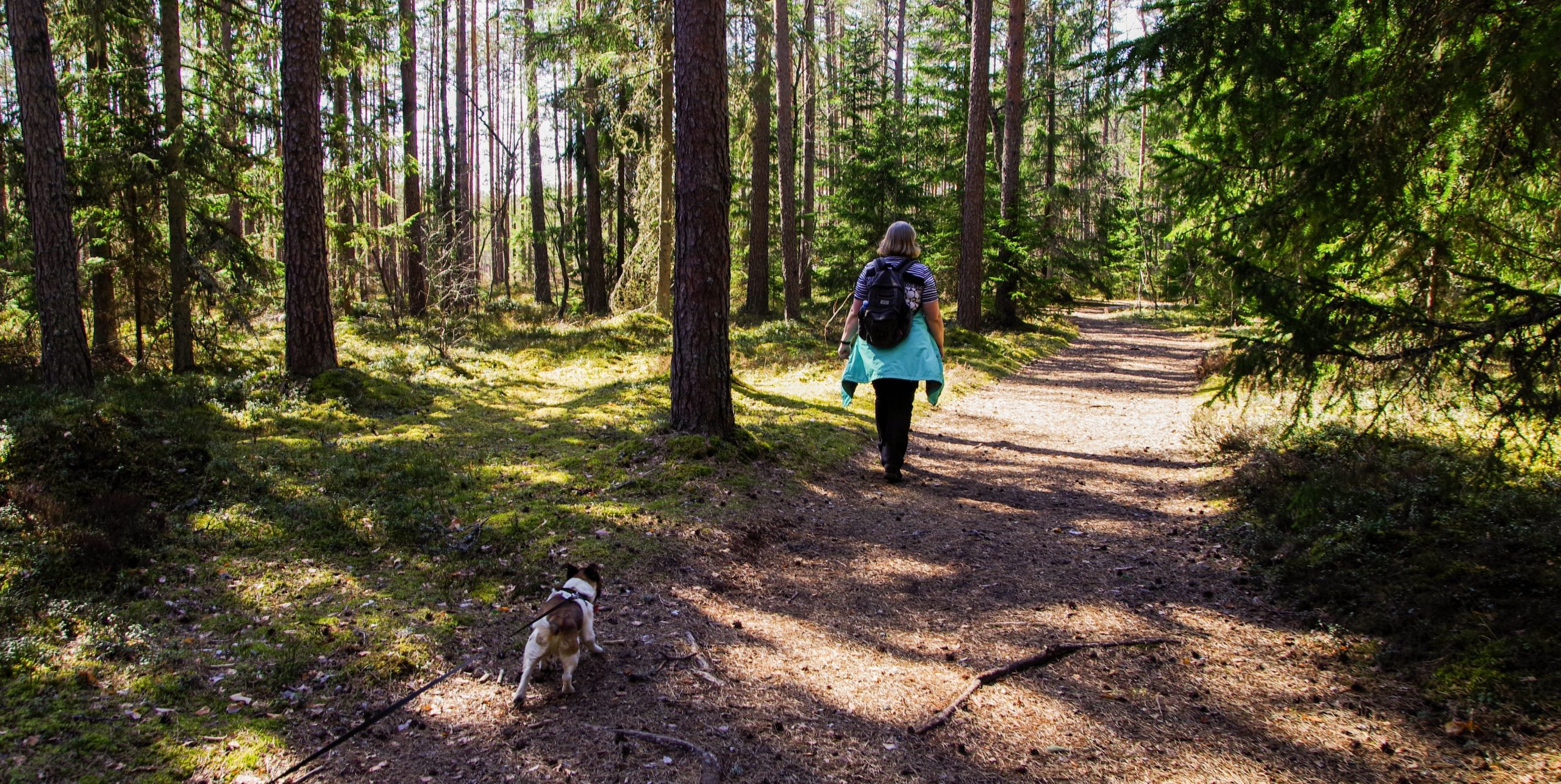 hiking in the mountains near donnelly