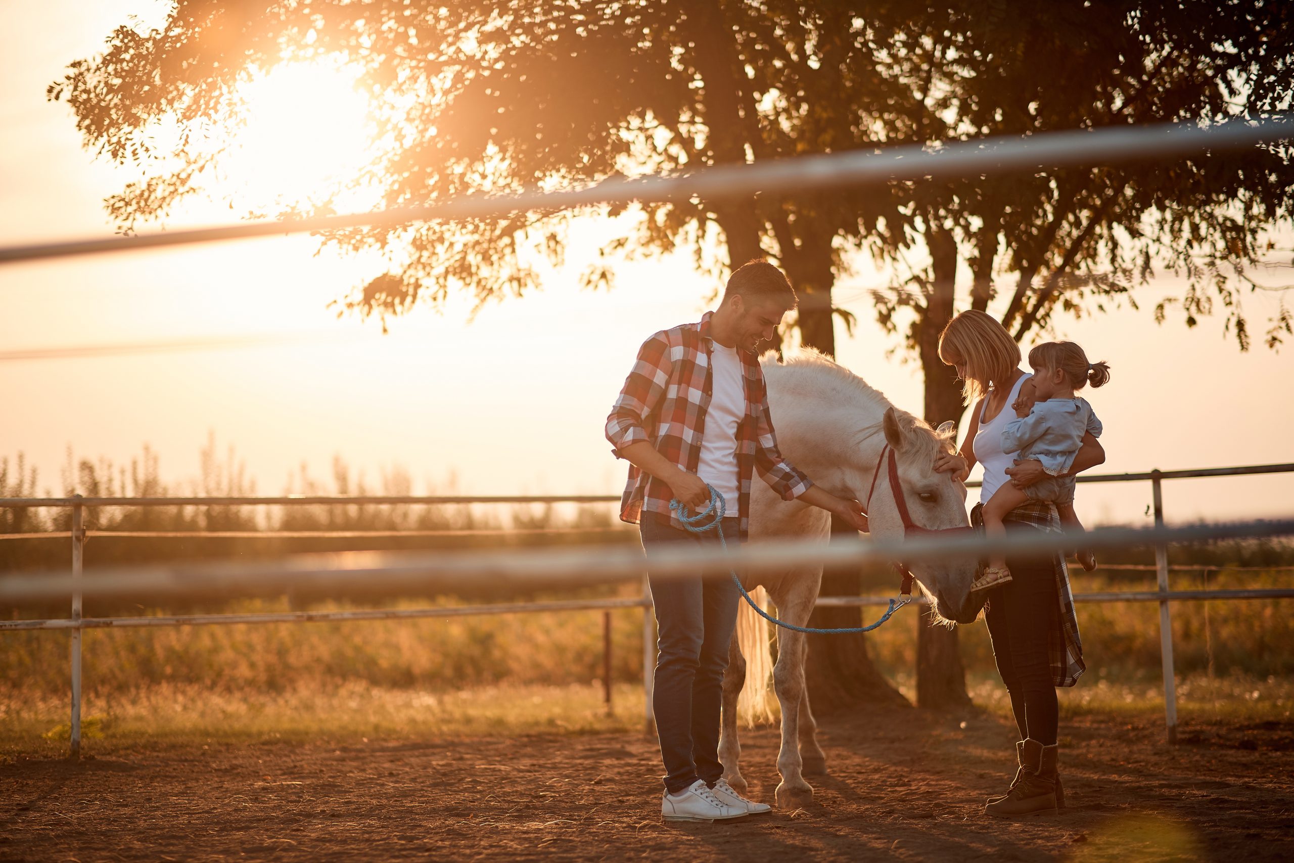 Young girl and family with a horse in the farm. Petting horses in countryside.
