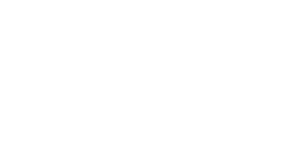 The Kost Team