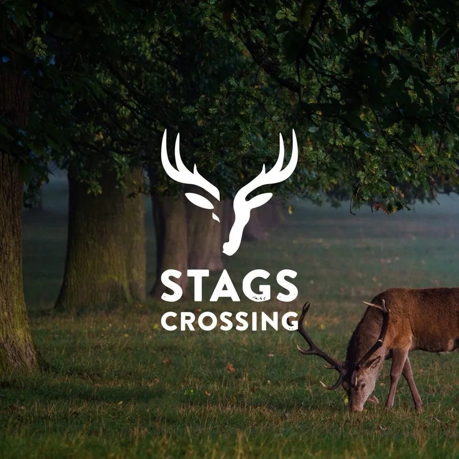 Stags Crossing Community Thumbnail